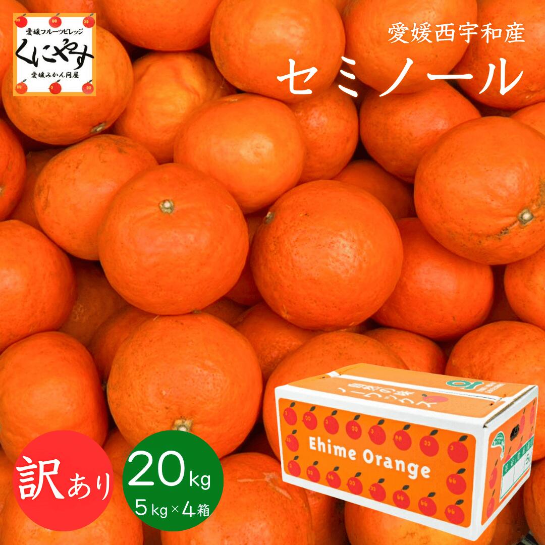 食品 - 数量限定販売！＼当選確率1/2！抽選で最大100％ポイントバック 15日 0:00～／★希少品種 木成り完熟品★創業86年 愛媛 みかん の老舗【送料無料】【産地直送】愛媛西宇和産 訳あり セミノール オレンジ 20kg ( 5kg ×4箱)「訳ありセミノール5×4」
