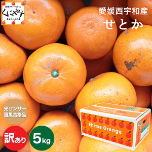 【予約品】2月下旬～3月上旬頃出荷予定【味センサー合格品】【送料無料】愛媛西宇和産せとか 訳あり5キロ究極の柑橘！みかんの大トロ「訳ありせとか5」1～5営業日以内当店発送予定/大きさ不揃い/チョイ傷/蜜柑/ミカン/グルメ/お取り寄せ