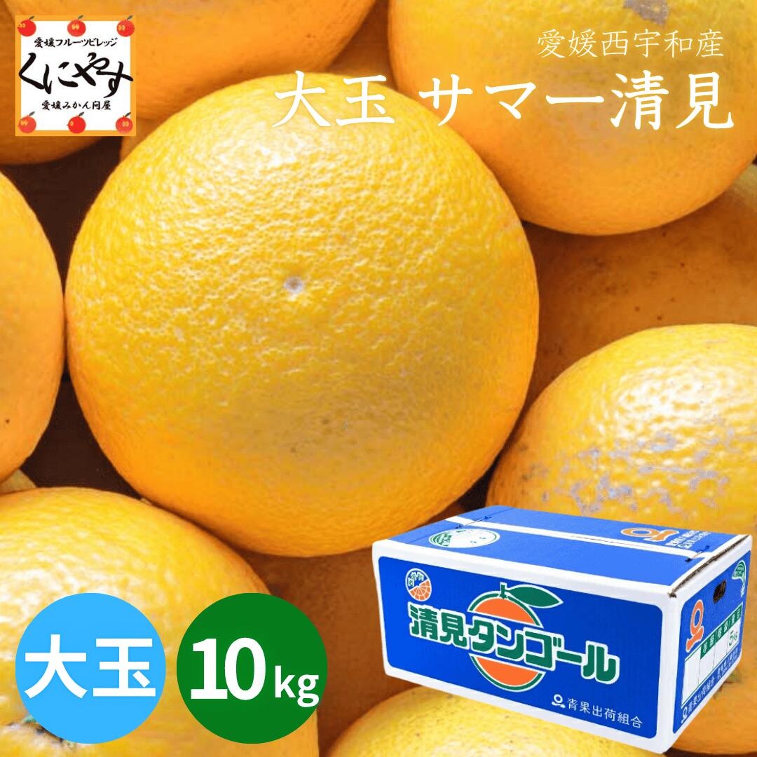 数量限定販売！＼ポイ