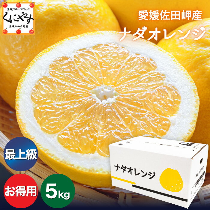 全国お取り寄せグルメ食品ランキング[日向夏(61～90位)]第62位