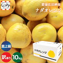 \5日 エントリーでポイント4倍!/★限定農家さん 大岩さん のこだわり最上級品★【送料無料】【産地直送】愛媛佐田岬産 ナダオレンジ 訳あり 10kg (5kg...