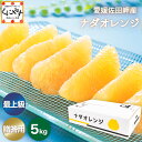 ご予約受付中!\ワンランク上の美味しさ/★限定農家さん 大岩さん のこだわり最上級品★【送料無料】【ギフト】【産地直送】愛媛佐田岬産 ナダオレンジ 贈答用 5k...