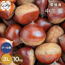 \ポイント最大47倍!お買い物マラソン開催中!/【予約品】9月下旬~10月上旬発送★1つ1つ手選別した 旬の栗 ★【送料無料】【ギフト】【産地直送】【厳選品】愛媛産 中生栗 3L以上10キロ「愛媛中生栗3L10」見た目綺麗 贈答OK!国産 生栗 くり 和栗 渋皮煮