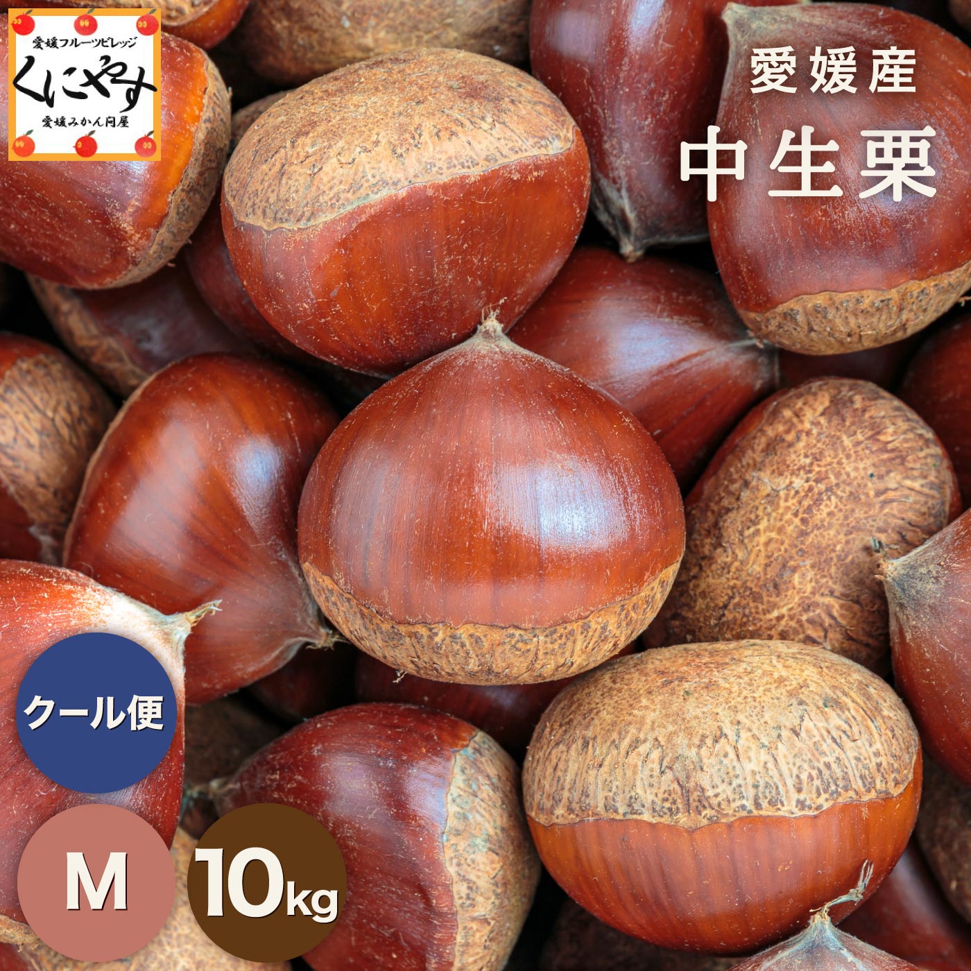 7/1より数量限定 予約販売開始！★1つ1つ手選別した 旬の栗 ★【送料無料】【ギフト】【産地直送】