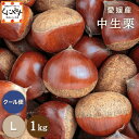 \最大22倍!超ポイントバック祭 15日 23:59 まで/【予約品】9月下旬~10月上旬発送★1つ1つ手選別した 旬の 栗 ★【送料無料】【ギフト】【産地直送】【厳選品】愛媛産 中生栗 Lサイズ 1キロ「愛媛中生栗L1」 見た目綺麗 贈答OK!国産 生栗 くり 和栗 渋皮煮