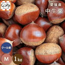 8/29 10:00~\枚数限定!クーポン利用で10%OFF/★1つ1つ手選別した 旬の栗 ★【送料無料】【ギフト】【産地直送】【厳選品】愛媛産 中生栗 Mサイズ 1キロ「愛媛中生栗M1」 見た目綺麗 贈答OK! 国産 生栗 くり 和栗 渋皮煮【☆】