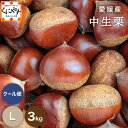 \最大22倍!超ポイントバック祭 15日 23:59 まで/【予約品】9月下旬~10月上旬発送★1つ1つ手選別した 旬の 栗 ★【送料無料】【ギフト】【産地直送】【厳選品】愛媛産 中生栗 Lサイズ 3キロ「愛媛中生栗L3」 見た目綺麗 贈答OK!国産 生栗 くり 和栗 渋皮煮