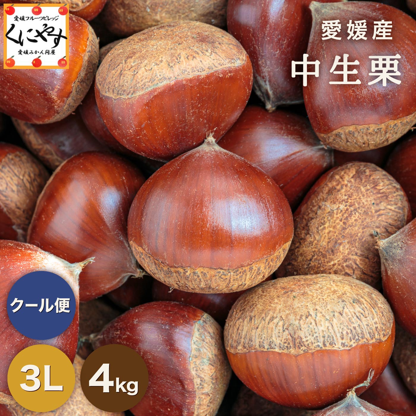 7/1より数量限定 予約販売開始！★1つ1つ手選別した 旬の栗 ★【送料無料】【ギフト】【産地直送】