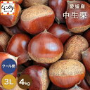値下げしました!\ポイント最大47倍!お買い物マラソン 24日 20:00~/★1つ1つ手選別した 旬の 栗 ★【送料無料】【ギフト】【産地直送】【厳選品】愛媛産 中生栗 3L以上4キロ「愛媛中生栗3L4」 見た目綺麗 贈答OK 国産 生栗 くり 和栗 栗ごはん 渋皮煮