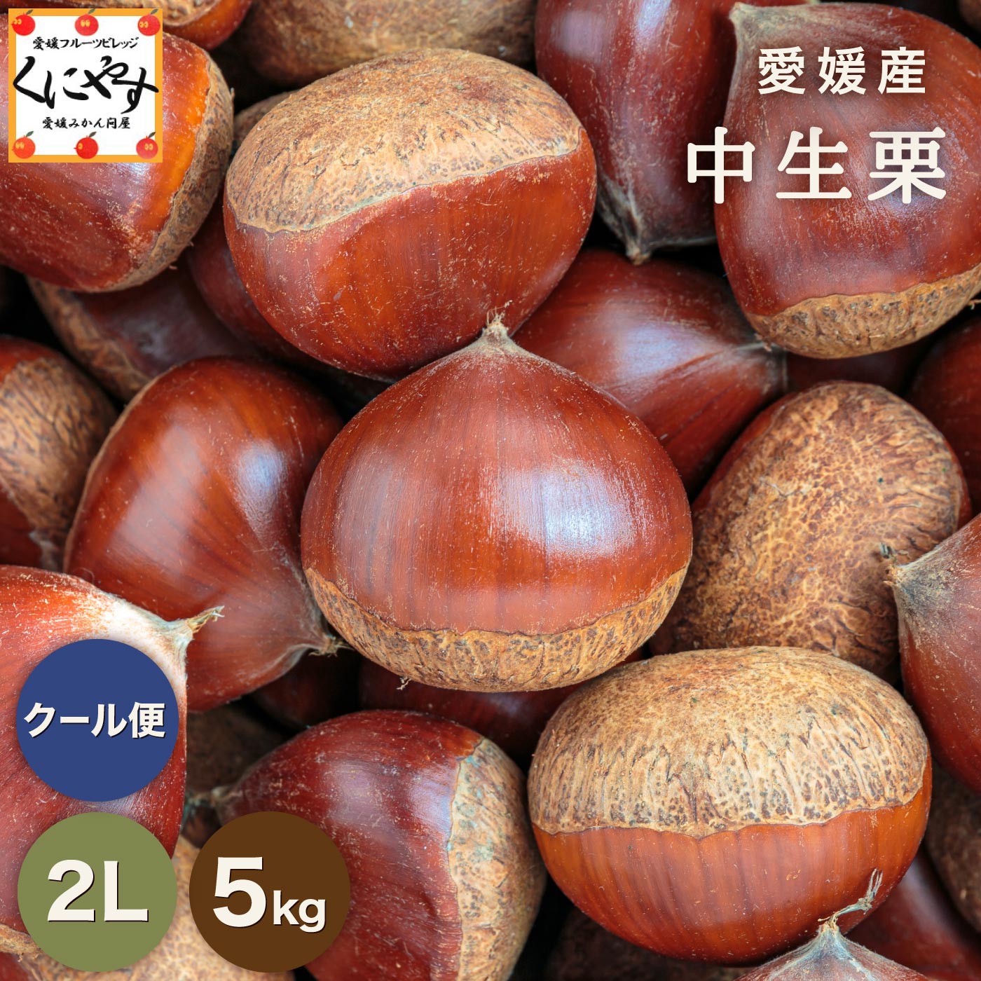 7/1より数量限定 予約販売開始！★1つ1つ手選別した 旬の栗 ★【送料無料】【ギフト】【産地直送】