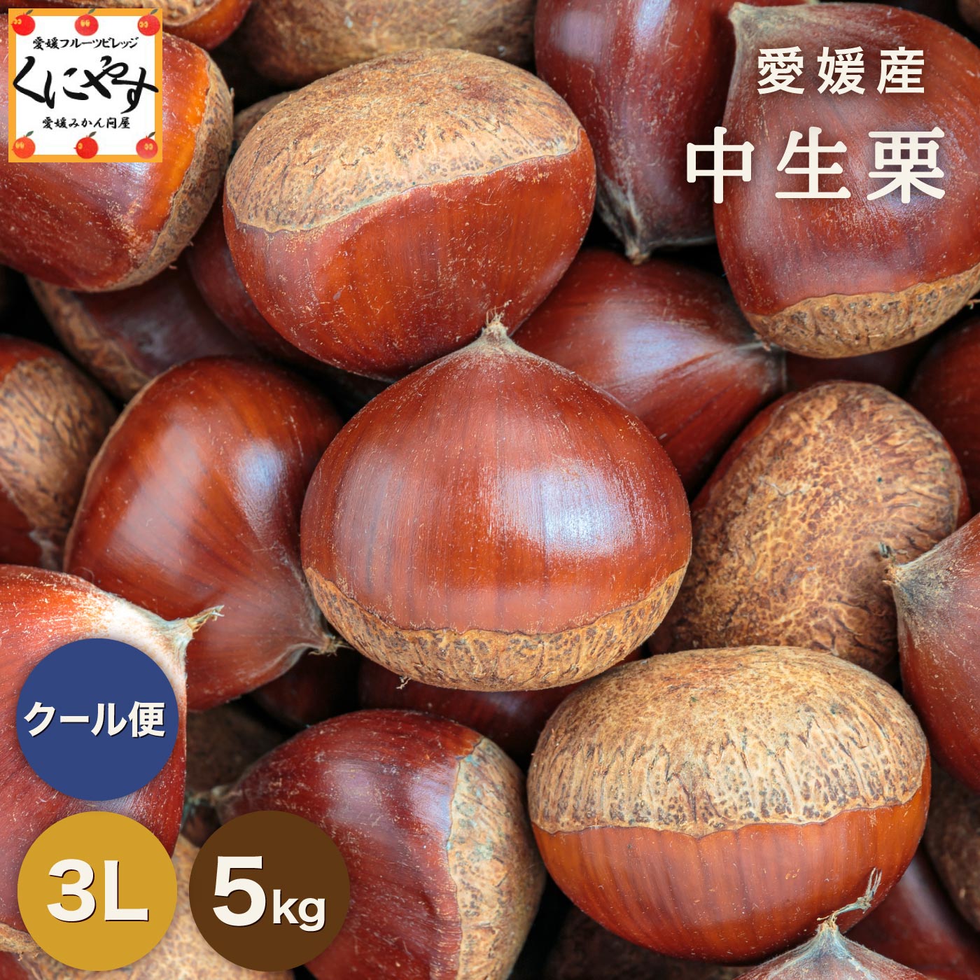 7/1より数量限定 予約販売開始！★1つ1つ手選別した 旬の栗 ★【送料無料】【ギフト】【産地直送】