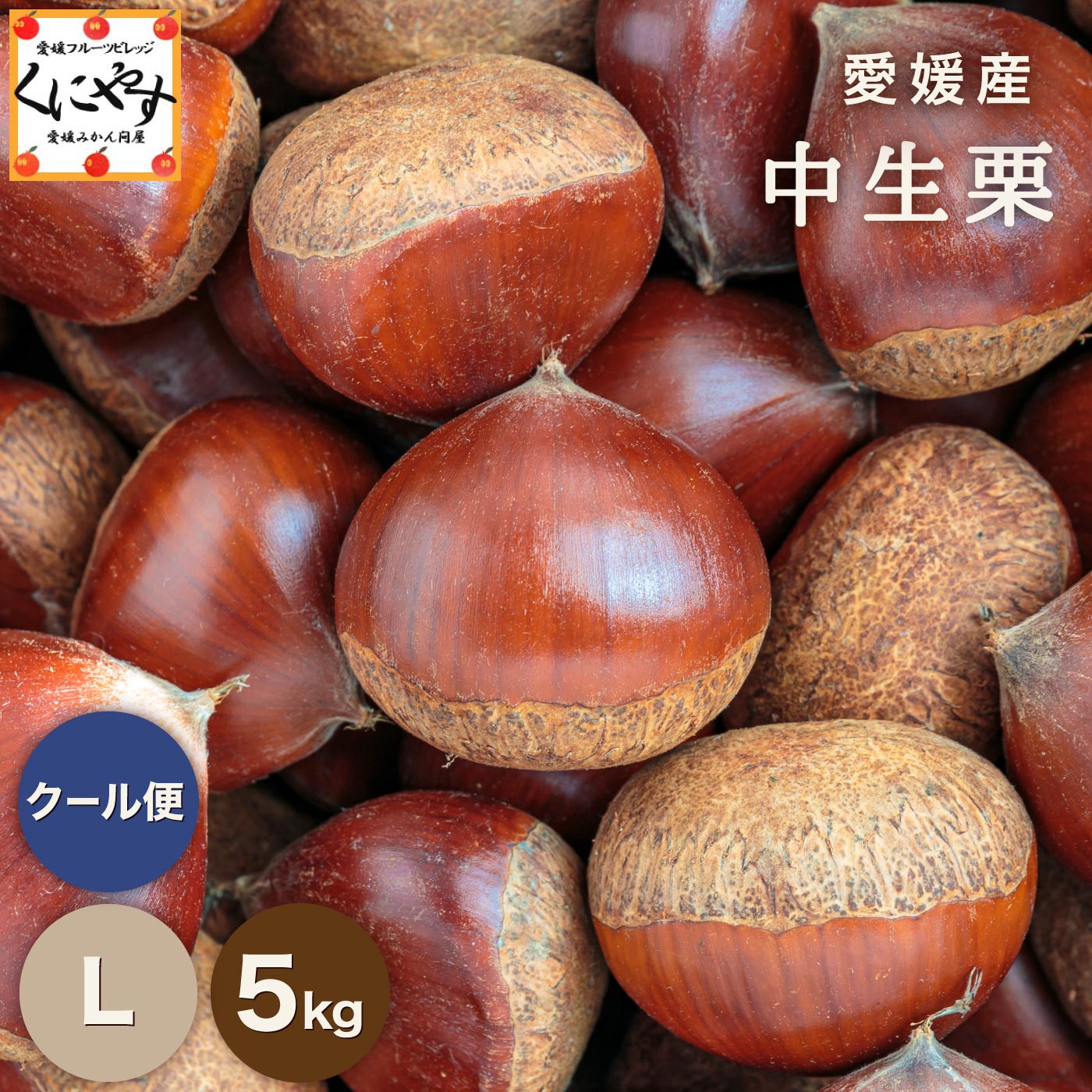 7/1より数量限定 予約販売開始！★1つ1つ手選別した 旬の栗 ★【送料無料】【ギフト】【産地直送】
