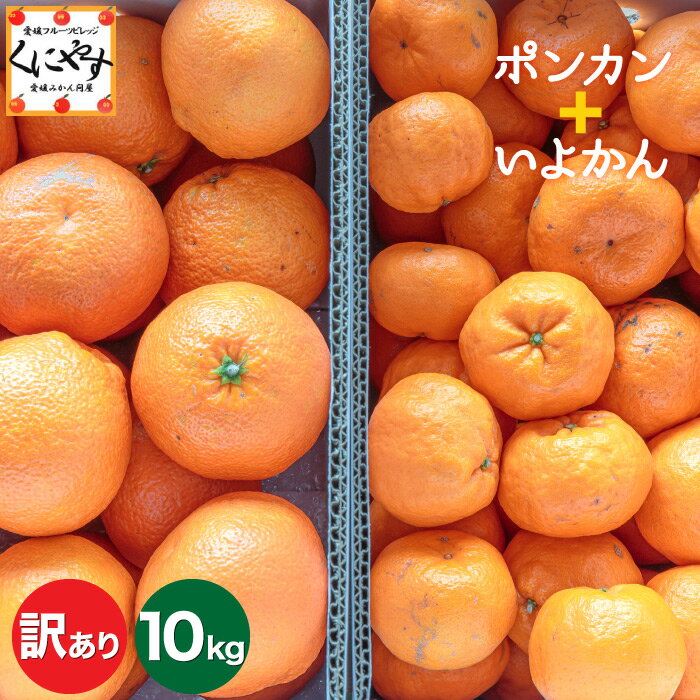 本日まで！ポイント10倍！今だけ特価！4480円！＼創業83年 愛媛みかん の老舗／【送料無料】【訳あり】【産地直送】訳あり愛媛産ポンカン と 訳あり愛媛宮内いよかん セット10kg (各5kg×2箱)「訳ポンカンいよかん5×2」愛媛みかん 大きさ不揃い・見た目チョイ傷のサムネイル