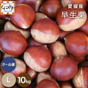 \枚数限定!10%OFFクーポン/★秋の味覚のトップバッター★【送料無料】【ギフト】【厳選品】【産地直送】 愛媛産 早生 栗 Lサイズ 10kg 「愛媛の栗L1...