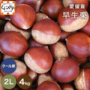 全国お取り寄せグルメ愛媛食品全体No.87