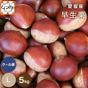 \枚数限定!10%OFFクーポン/★秋の味覚のトップバッター★【送料無料】【ギフト】【厳選品】【産地直送】 愛媛産 早生 栗 Lサイズ 5kg 「愛媛の栗L5」...