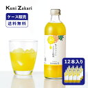 【ケース販売】國盛 toromelt パイン 300ml×12本 / とろめると トロメルト 中埜酒造 リキュール 果実酒 ギフト カクテル フルーツ パインアップル パイン酒 お酒 果汁たっぷり プレゼント かわいい 女子会 低アルコール 飲みやすい 甘口 敬老