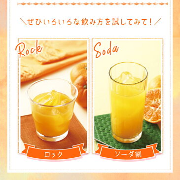 國盛 みかんのお酒 300ml / 中埜酒造 リキュール 果実酒 カクテル フルーツ 蜜柑 ミカン酒 お酒 果汁たっぷり プレゼント かわいい 女子会 低アルコール 飲みやすい 甘口
