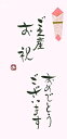 手書き金封 ご出産お祝い おめでとうございます 桃