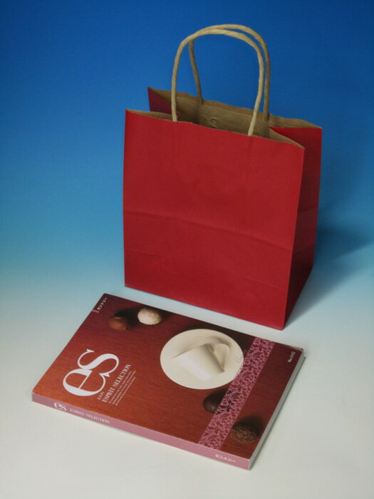 紙袋21 A HEIKO 25CB-21-12未晒赤C#3266300