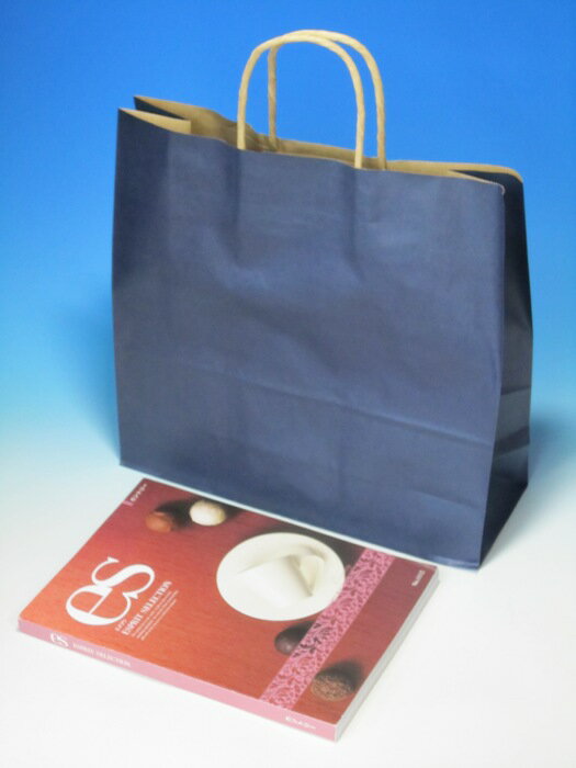 紙袋12 A HEIKO 25CB-3才 未晒紺C#3251204