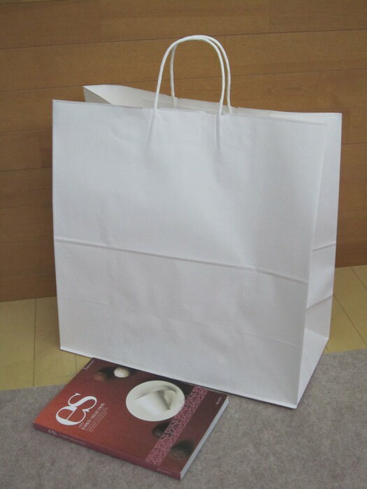 紙袋8 B 白中大