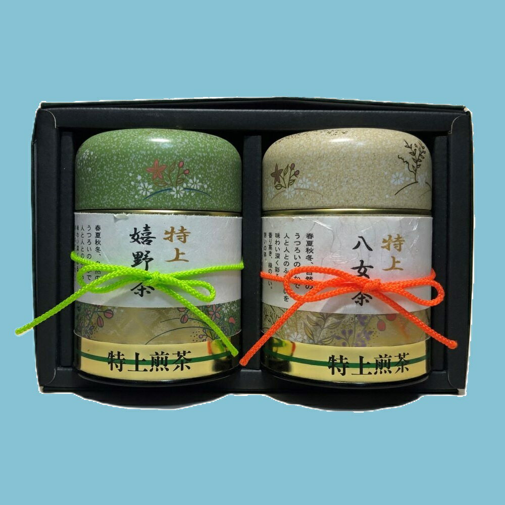 Gift JapaneseTea  ͹礻 TA-30 Źȯפޤ   