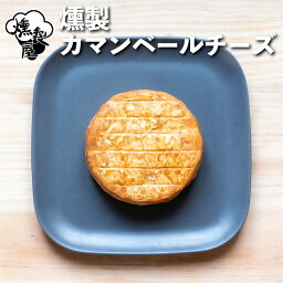 カマンベールチーズ チーズ 母の日 父の日 おつまみ お菓子 おやつ おしゃれ チーズ ギフト プレゼント フード 食品 食べ物 実用的 女性 男性 お酒の当て ワイン つまみ