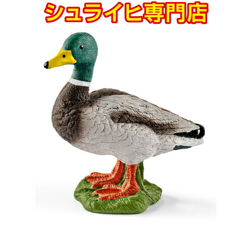 シュライヒ カモ オス 13824 動物フィギュア ファームワールド FARM WORLD 農場 Farm Animals schleich