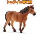 【シュライヒ専門店】シュライヒ ダートムーアポニー メス 13873 動物フィギュア ファームワールド FARM WORLD 馬 ウマ horses schle...