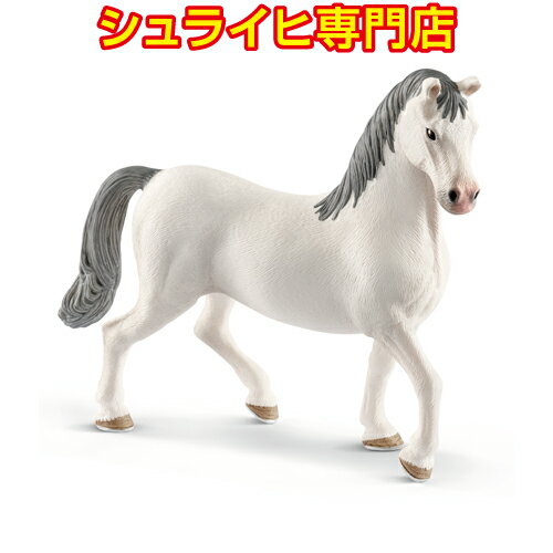 シュライヒ リピツァーナ馬 オス 13887 動物フィギュア ホースクラブ HORSE CLUB schleich