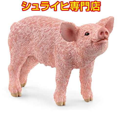 【シュライヒ専門店】シュライヒ ブタ 仔 13934 動物フィギュア ファームワールド FARM WORLD 農場 Farm Animals schleich