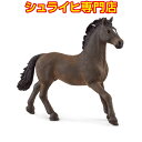 【シュライヒ専門店】シュライヒ オルデンブルク オス 13946 動物フィギュア ホースクラブ HORSE CLUB schleich