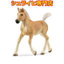 ★半額★【シュライヒ専門店】シュライヒ ハフリンガー馬 仔 13951 動物フィギュア ホースクラブ HORSE CLUB schleich