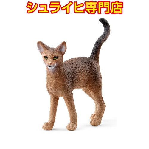 【シュライヒ専門店】シュライヒ アビシニアン 13964 動物フィギュア ファームワールド FARM WORLD schleich 2023 新商品