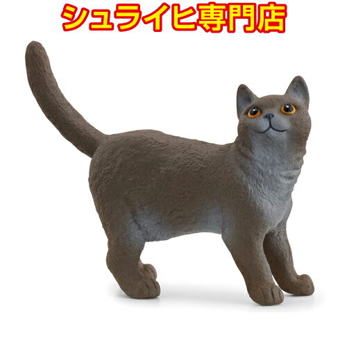 楽天クピトイズ【シュライヒ専門店】シュライヒ ブリティッシュショートヘア 13973 動物フィギュア ファームワールド FARM WORLD schleich 2024 新商品