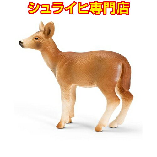 IWWJ(X)