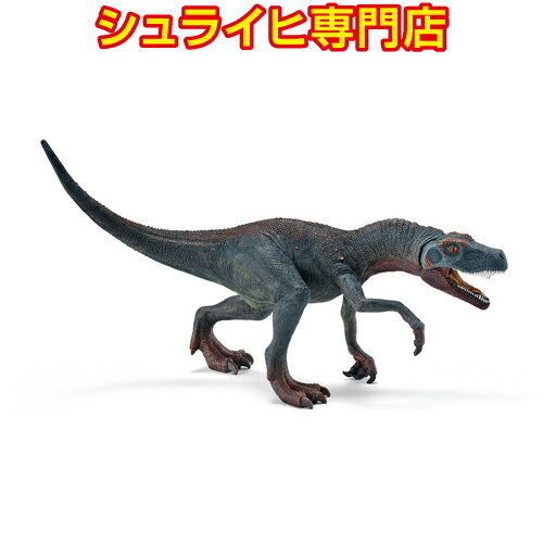 wTEX