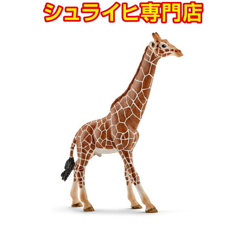 【シュライヒ専門店】シュライヒ キリン オス 14749 動物フィギュア ワイルドライフ Wild Life サファリ Safari schleich