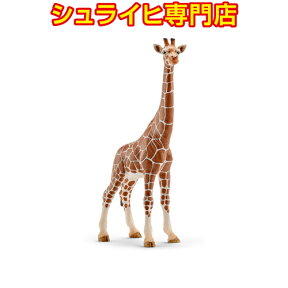 【シュライヒ専門店】シュライヒ キリン メス 14750 動物フィギュア ワイルドライフ Wild Life サファリ Safari schleich