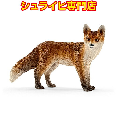 Lcl
