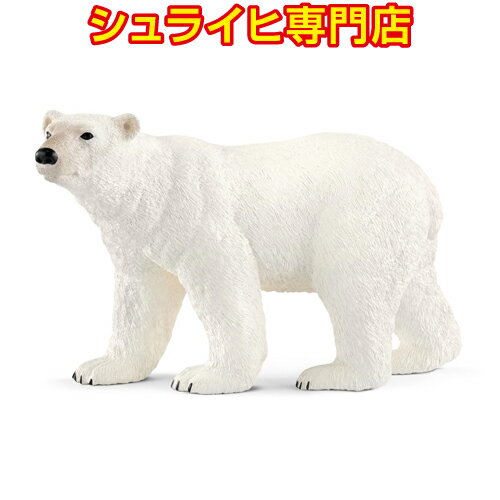 【シュライヒ専門店】シュライヒ シロクマ 14800 動物フィギュア ワイルドライフ Wild Life 海の世界 Ice&Ocean schleichの商品画像