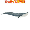 【シュライヒ専門店】シュライヒ シロナガスクジラ 14806 動物フィギュア ワイルドライフ Wild Life 海の世界 Ice Ocean schleich