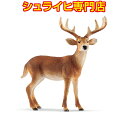 【シュライヒ専門店】シュライヒ オジロジカ オス 14818 動物フィギュア ワイルドライフ Wild Life 森林 Forest schleich