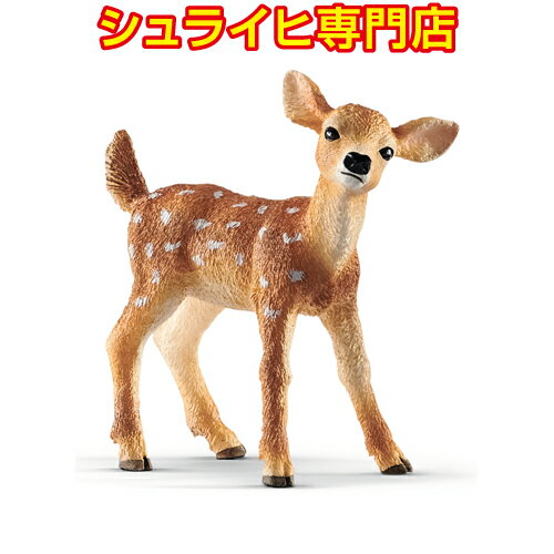 IWWJ(e)