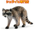 【シュライヒ専門店】シュライヒ アライグマ 14828 動物フィギュア ワイルドライフ Wild Life ジャングル Jungle schleich