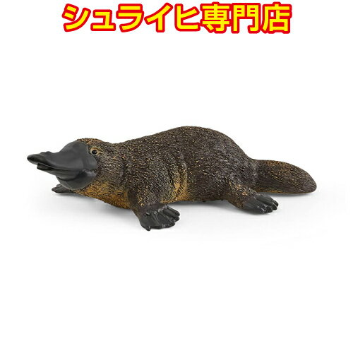 JmnV