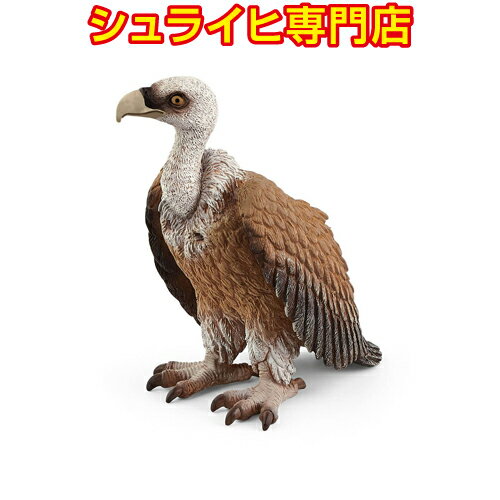 ڥ饤Źۥ饤 ϥ亮 14847 ưʪե奢 磻ɥ饤 Wild Life ե Safari schleich