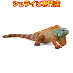 【シュライヒ専門店】シュライヒ イグアナ 14854 動物フィギュア ワイルドライフ Wild Life ジャングル Jungle schleich