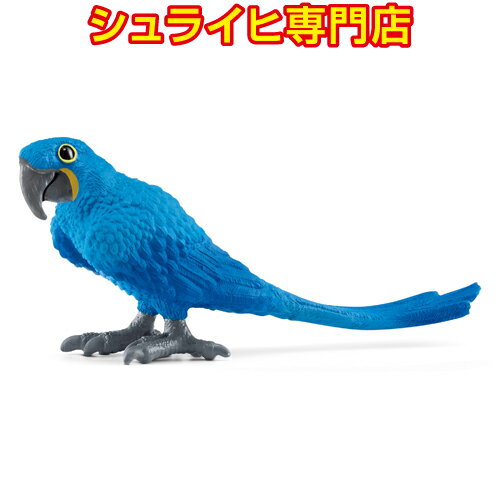 X~RSECR
